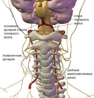 sindrom-sheynoy-arterii